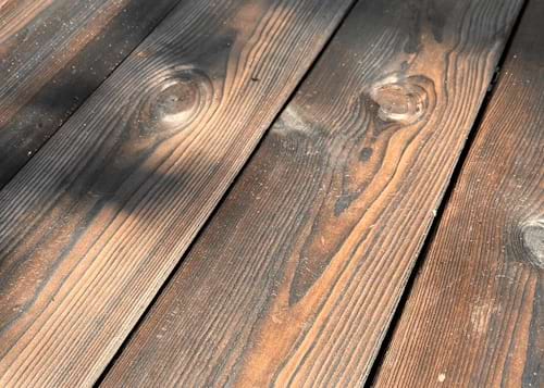 Каменное дерево фото